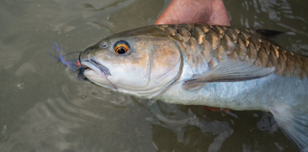 d2cad091bbb5a87d4b47b7bd4ea641c36e92cd431741861071452